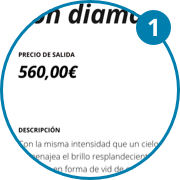 Imagen primer paso para realizar una puja múltiple. Precio de salida 560 euros, haz una oferta a partir del precio de salida