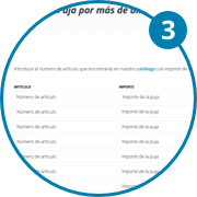 Imagen tercer paso para realizar una puja múltiple. Se abrirá una tabla para que registres las ofertas que desees en cada lote que subastado.