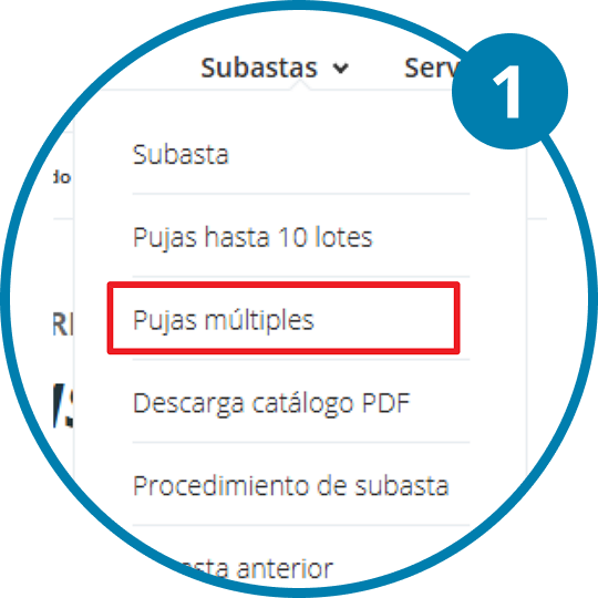 Imagen primer paso para realizar una puja múltiple.